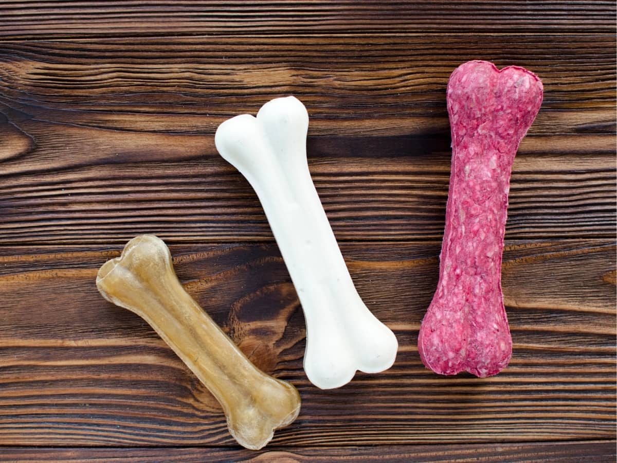 How Long Should a Dog Chew on a Bone? (Read This First!)